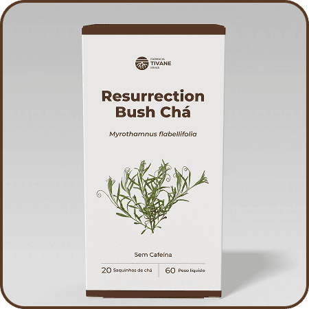Resurrection Bush Tea main image